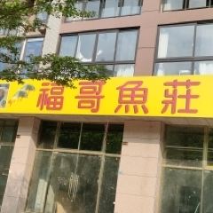 福哥鱼庄 User Photo