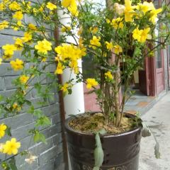 珍硒源·农家特色山庄 User Photo