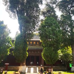 四川省平武报恩寺游客中心 User Photo