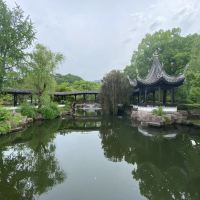 評論圖片 3