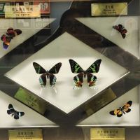 評論圖片 2