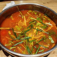 QIANCHENG SUANTANGNIUROU User Photo