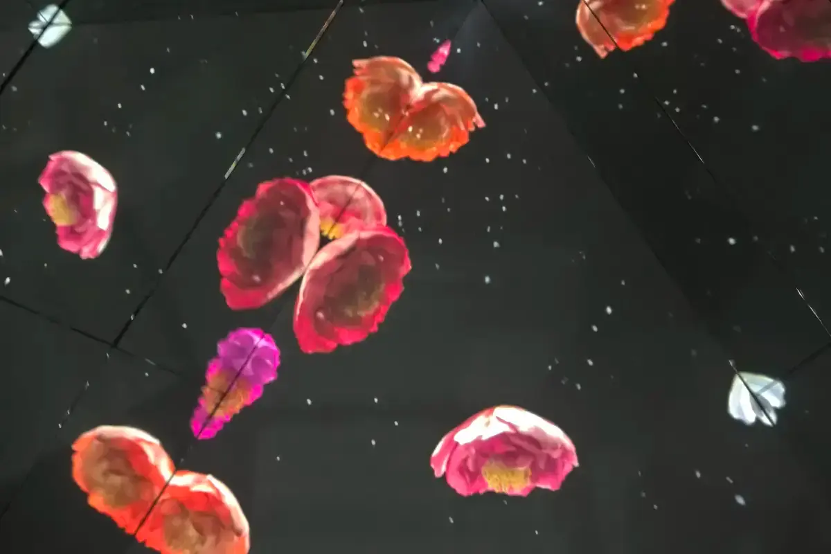 아르떼뮤지엄