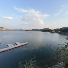 淳安酒家1986·千島湖地標美食張用戶圖片