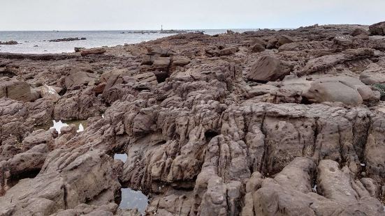 怪石灘因其是海蝕地貌，經過海浪千百年的沖蝕，而形成了各種形態