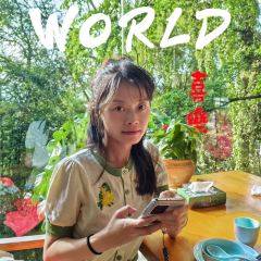 鸟鸣涧森林餐厅·野生菌–自然之味 여행 사진