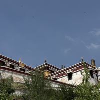 評論圖片 5