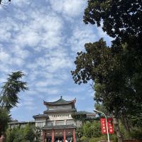 評論圖片 1