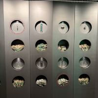 評論圖片 3