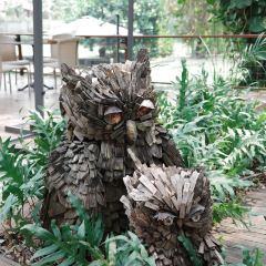 Early Owls User Photo