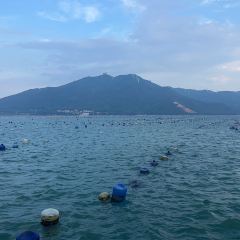 漁舟暢晚出海捕魚張用戶圖片