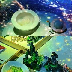 TASTE OF CHINA 味 沉浸式餐廳張用戶圖片