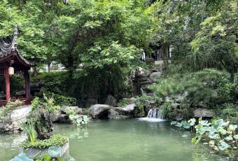 JUBILEE GARDEN user photo
