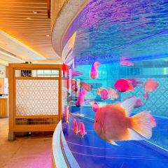 宁波泛太平洋大酒店·榉树日式料理餐厅 User Photo