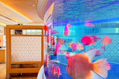 宁波泛太平洋大酒店·榉树日式料理餐厅