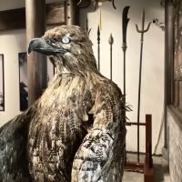 評論圖片 6