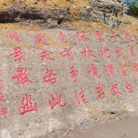 評論圖片 7