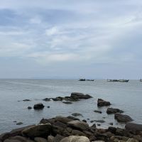 評論圖片 5