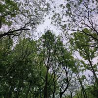 評論圖片 9