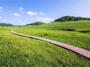 生态家园农家乐