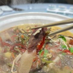 百慧軒張用戶圖片