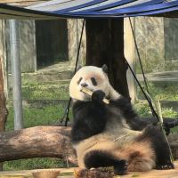評論圖片 2