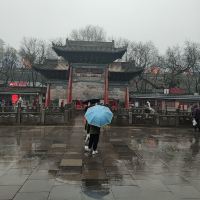 評論圖片 4
