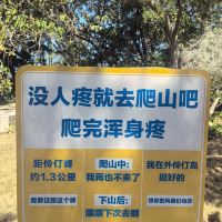 評論圖片 5