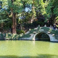 評論圖片 6