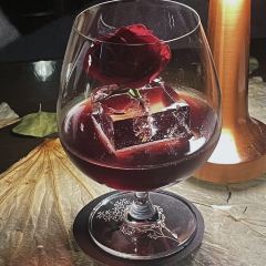 Paper Planes User Photo