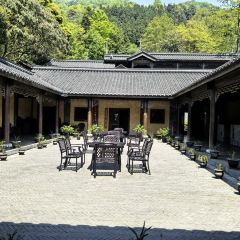 智矩寺皇茶坊 User Photo