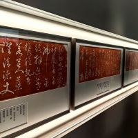 評論圖片 5