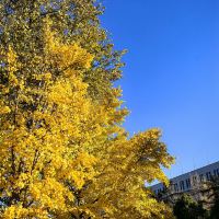 評論圖片 1