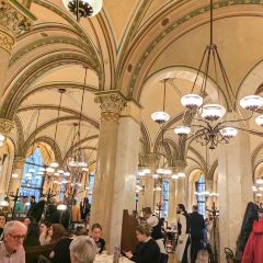 Café Central User Photo