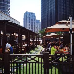 Mango Tree User Photo