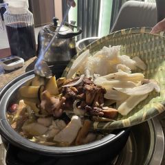 菌齐彩菇 User Photo