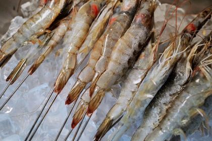 高原炭火牛肉(金三角店)