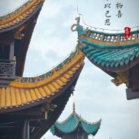 評論圖片 7