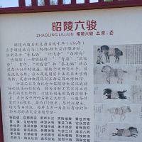 評論圖片 6
