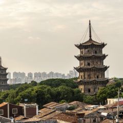 有鯉天台咖啡館張用戶圖片
