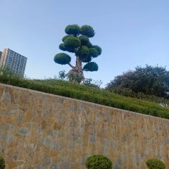 JIAO YAN XIANG DOU FU User Photo