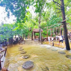 椿树沟刘三哥农家院饭店 ảnh của người dùng