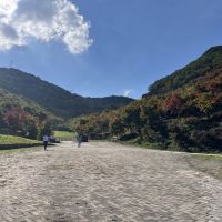 評論圖片 6