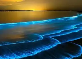 月海灣藍眼淚沙灘