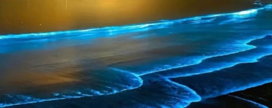 Moon Bay Blue Tears Beach