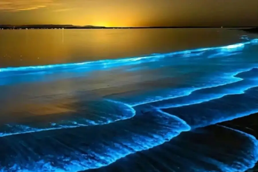 月海灣藍眼淚沙灘