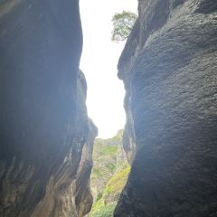 众鑫莜面村 User Photo