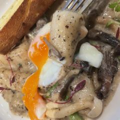 AMINO AMIGO User Photo