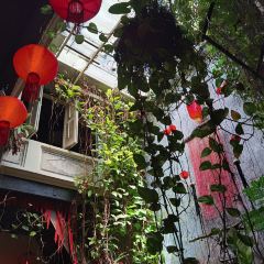 The Baboon House User Photo
