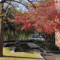 XIN RONG JI User Photo